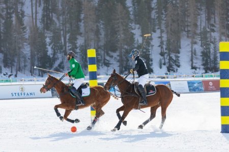 Qarüstü Polo üzrə Dünya kuboku turnirində Azərbaycan komandası qalib gəlib